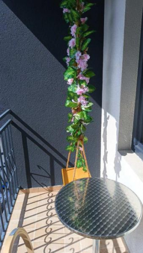 Apartmani La Montana - centar